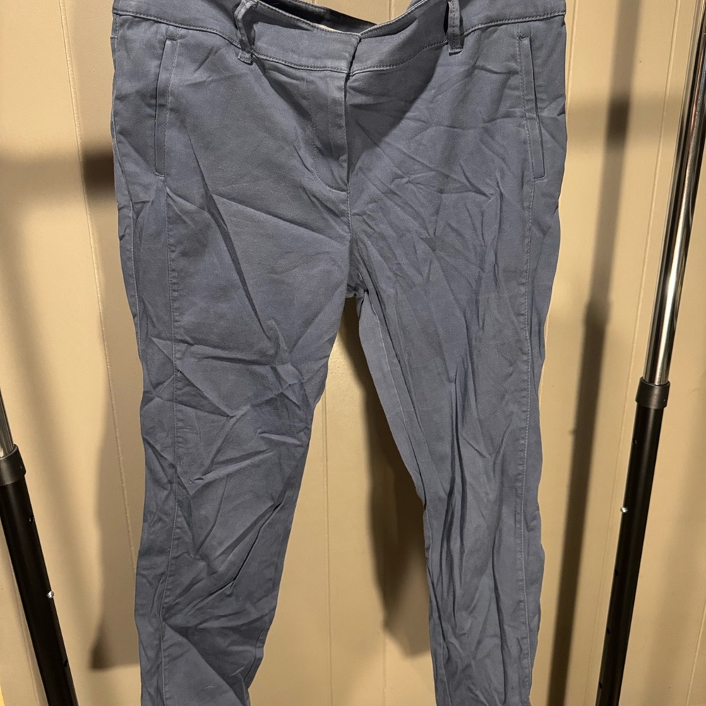 LOFT Slate Blue Skinny Pants